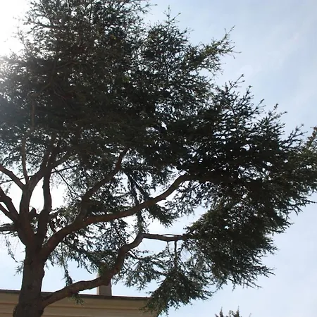 A Cardiccia Loc Saisonnieres 公寓 *