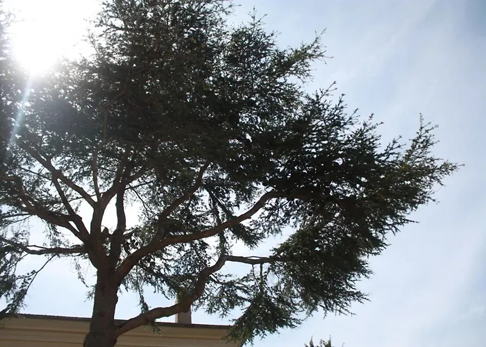 A Cardiccia Loc Saisonnières Appartement *