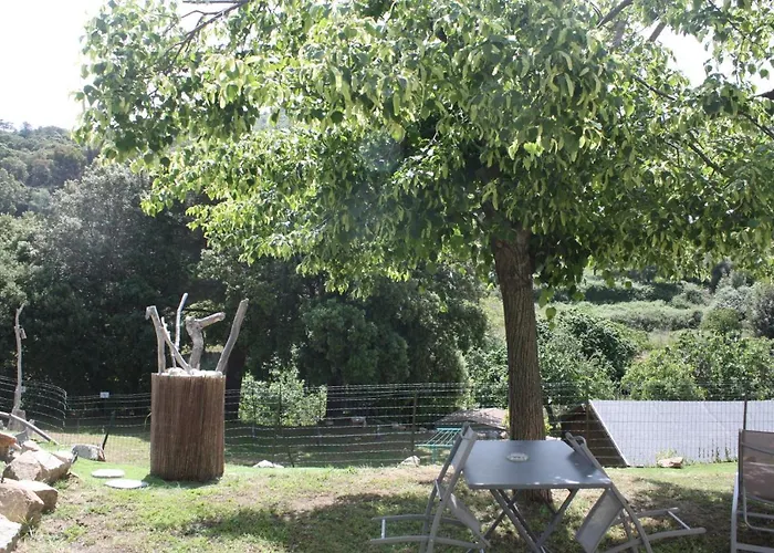 A Cardiccia Loc Saisonnières Appartement *